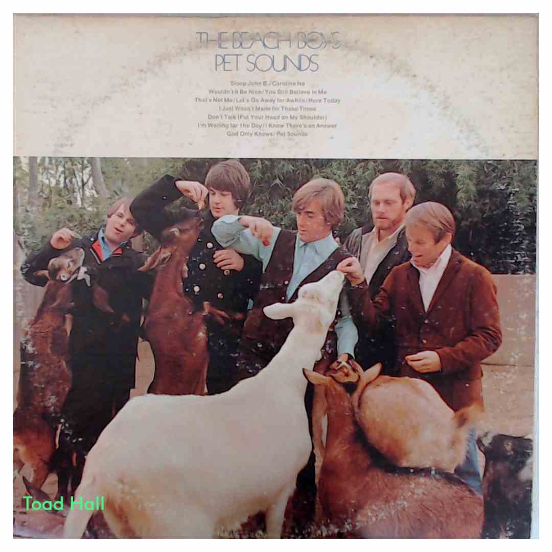The Beach Boys - Carl And The Passions/Pet Sounds (2 LPs) - Used Vinyl