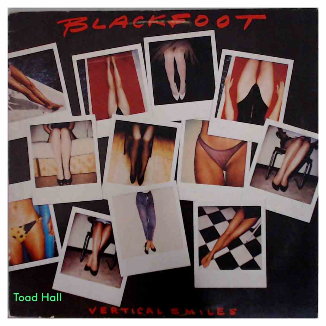 Blackfoot - Vertical Smiles - Used Vinyl