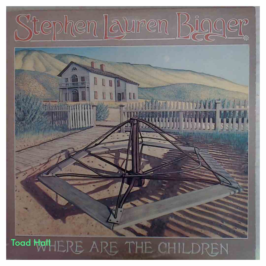 Stephen Lauren Bigger - Where Are The Children - Used Vinyl