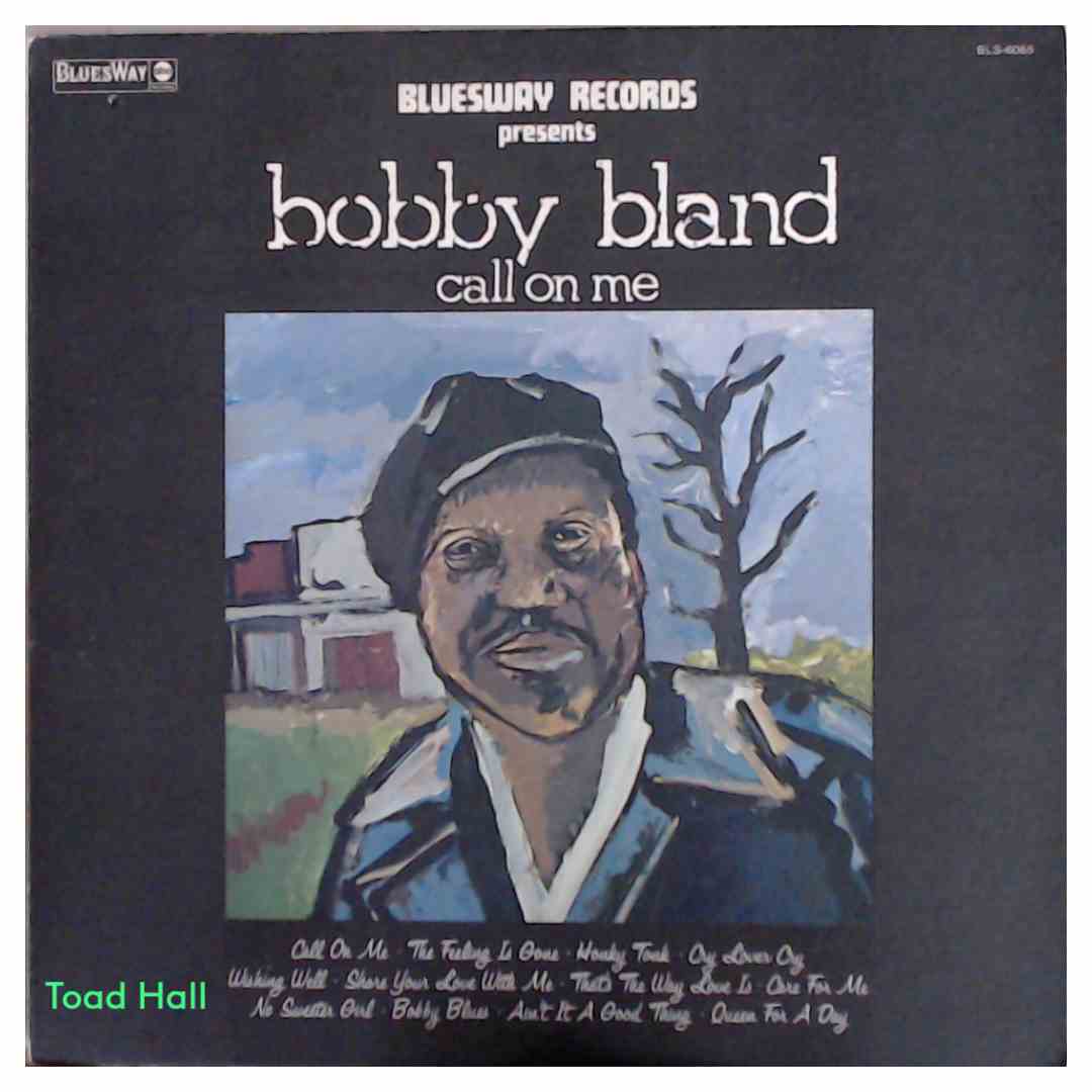 Bobby Bland - Call On Me - Used Vinyl