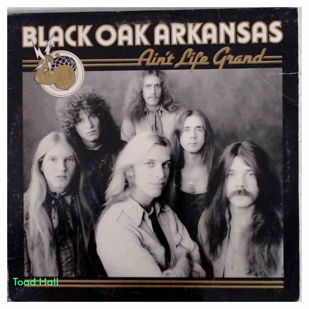 Black Oak Arkansas - Ain't Life Grand - Used Vinyl