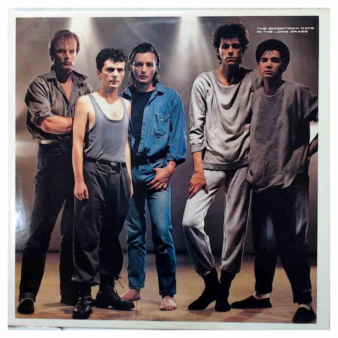 The Boomtown Rats - In The Long Grass by The Boomtown Rats = Used Vinyl
