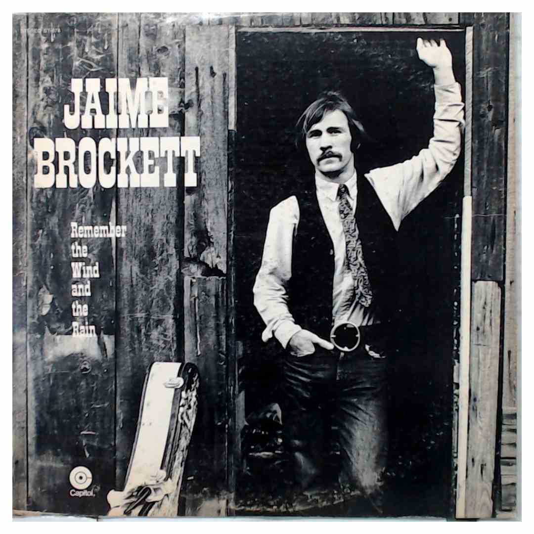 Jaime Brockett - Remember the Wind and the Rain - Used Vinyl