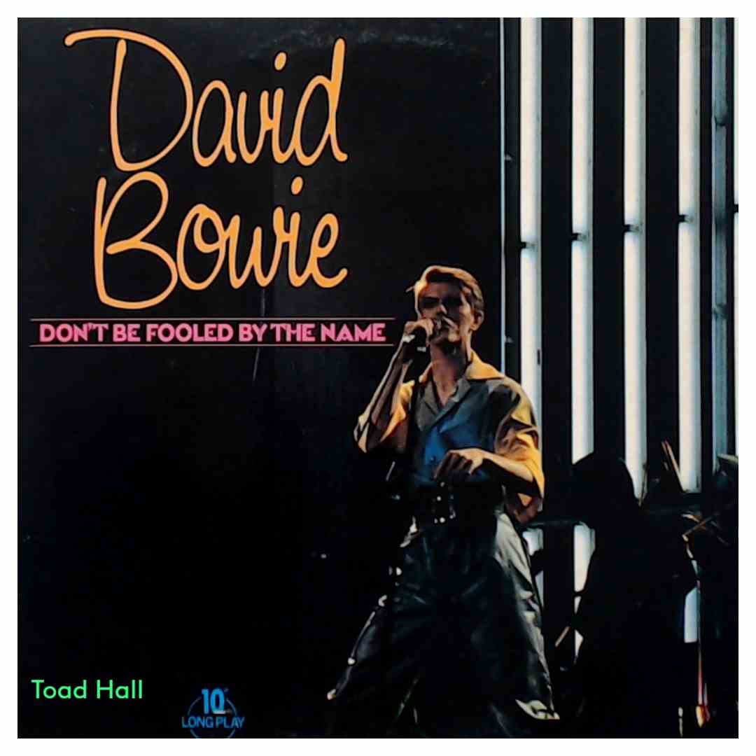 David Bowie - Don't Be Fooled By The Name - 10 Inch Used Vinyl