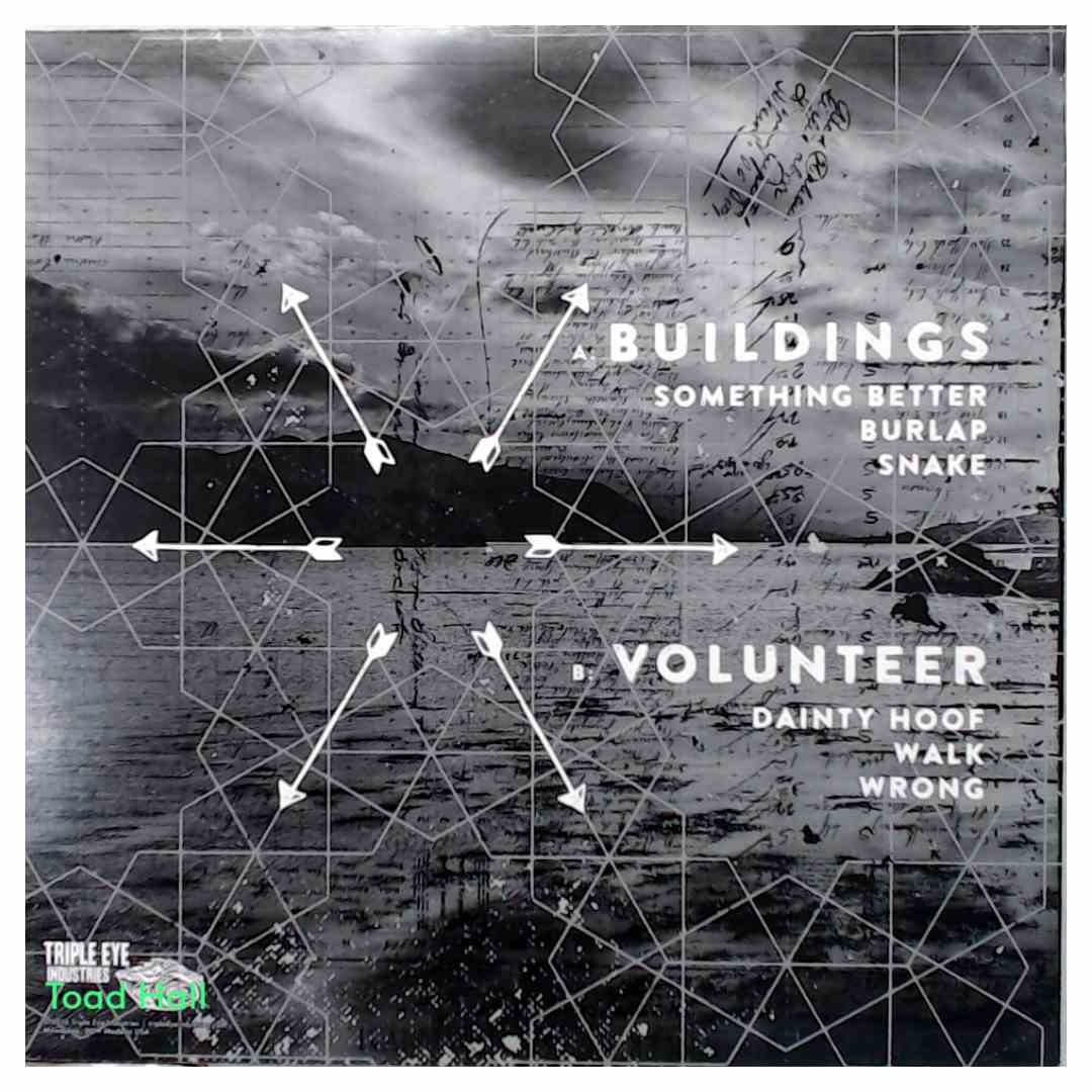 Buildings/Volunteer - Split - Used Vinyl