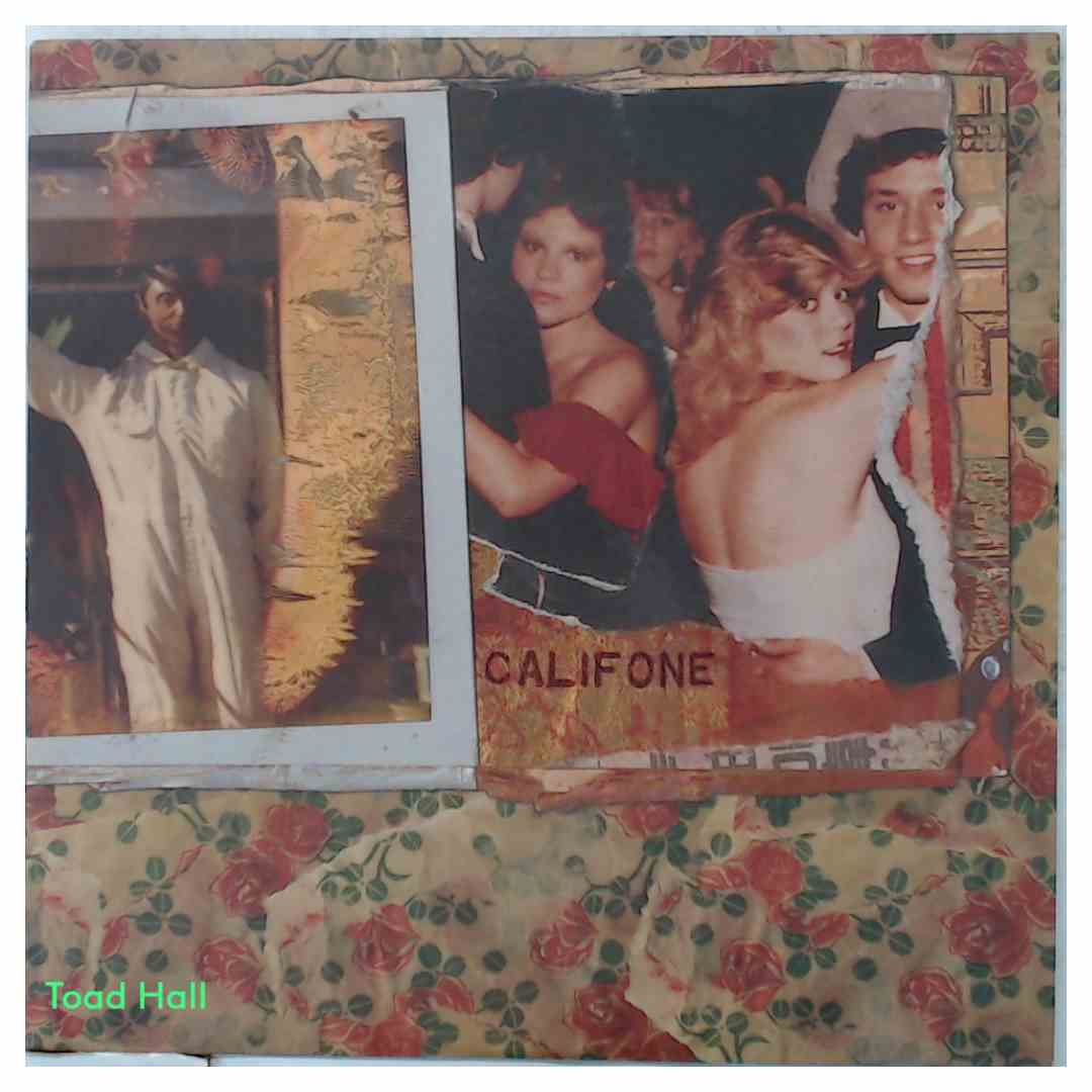 Califone - Quicksand/Cradlesnakes - Used Vinyl