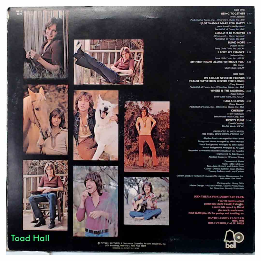 David Cassidy  Cherish  Used Vinyl LP