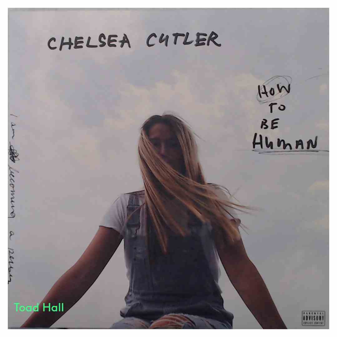 Chelsea Cutler - How To Be Human (Coke Bottle Clear) - Used Vinyl