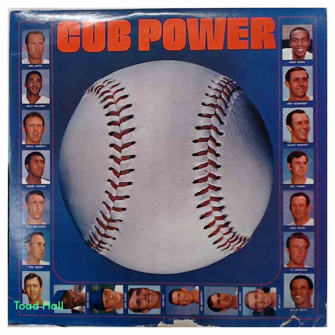 Cub Power - Used Vinyl