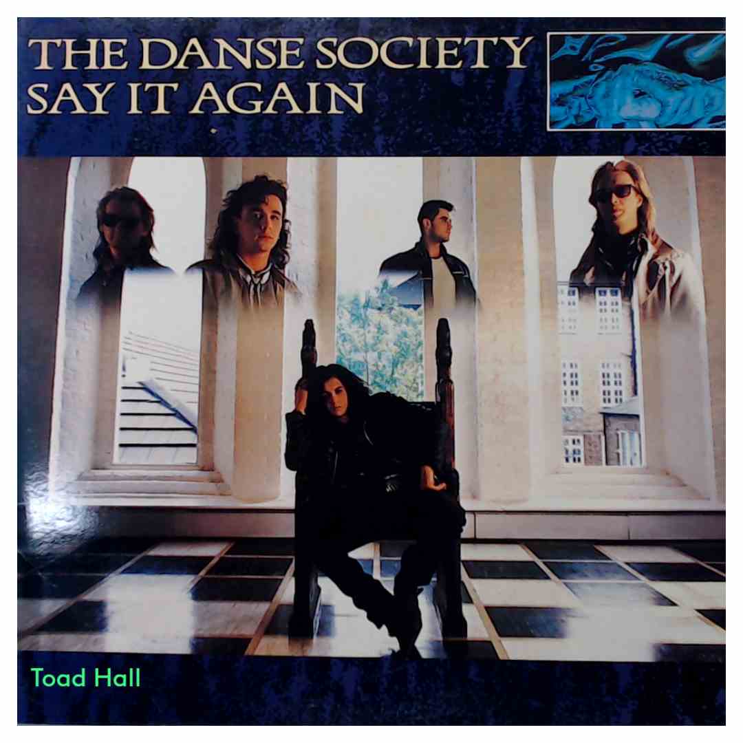 The Danse Society - Say It Again (12 Inch Promo Single) - Used Vinyl