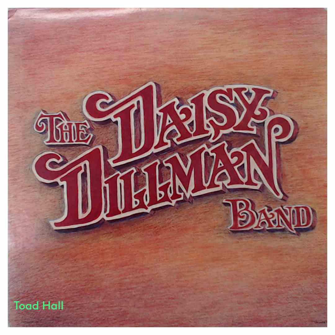 The Daisy Dillman Band  - The Daisy Dillman Band - Used Vinyl