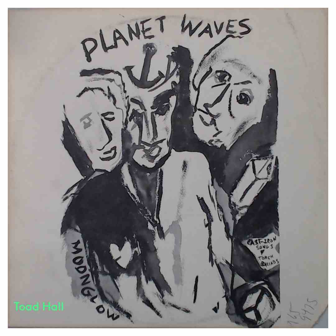 Bob Dylan - Planet Waves - Used Vinyl