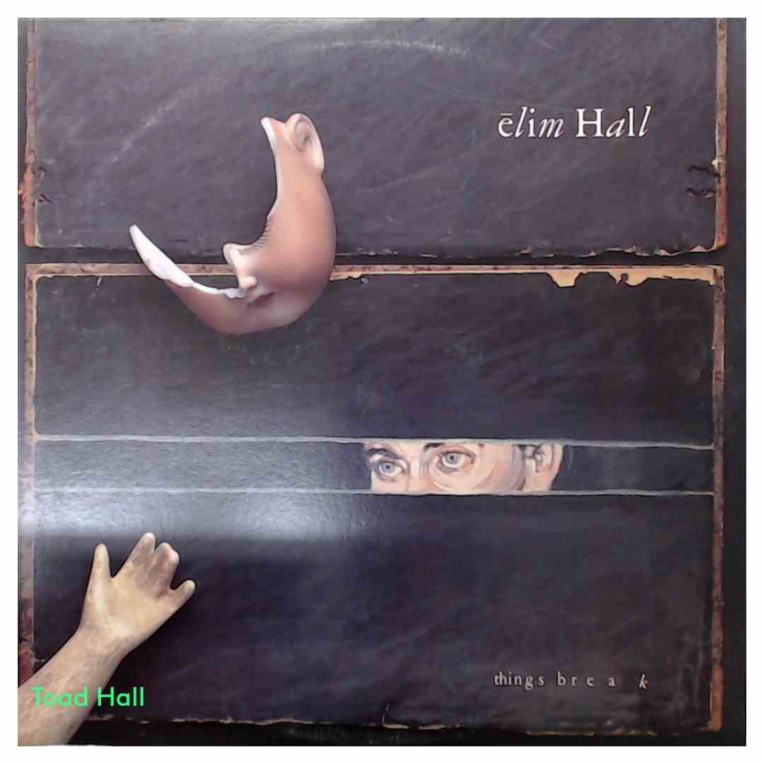 Elim Hall - Things Break - Used Vinyl