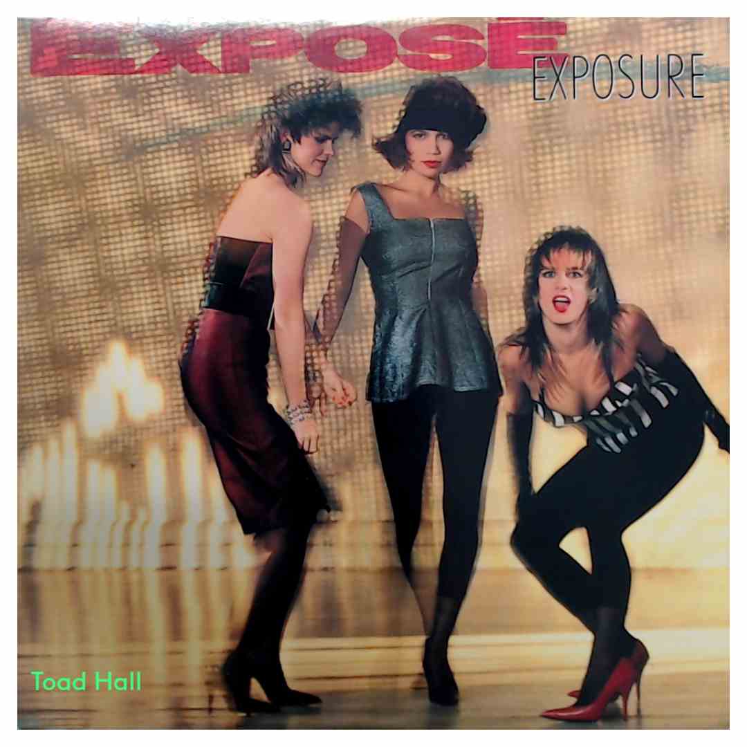 Exposé - Exposure - Used Vinyl