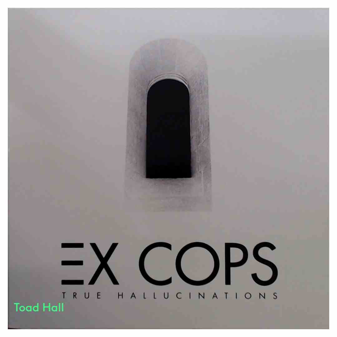 Ex Cops - True Hallucinations - Used Vinyl