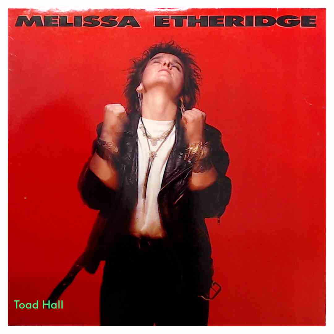 Melissa  Etheridge - Melissa Etheridge - Used Vinyl