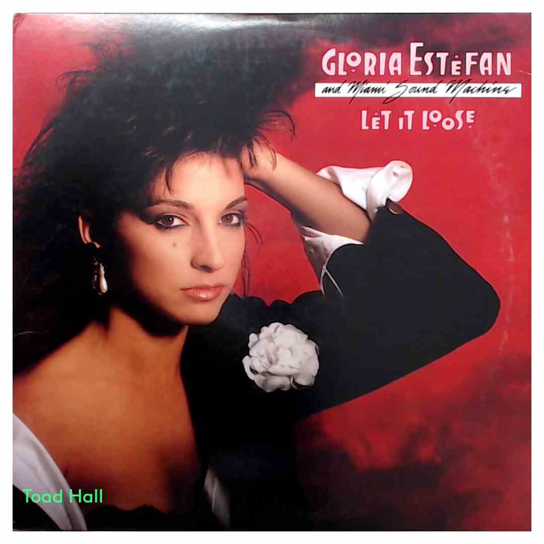 Gloria Estefan - Let It Loose - Used Vinyl