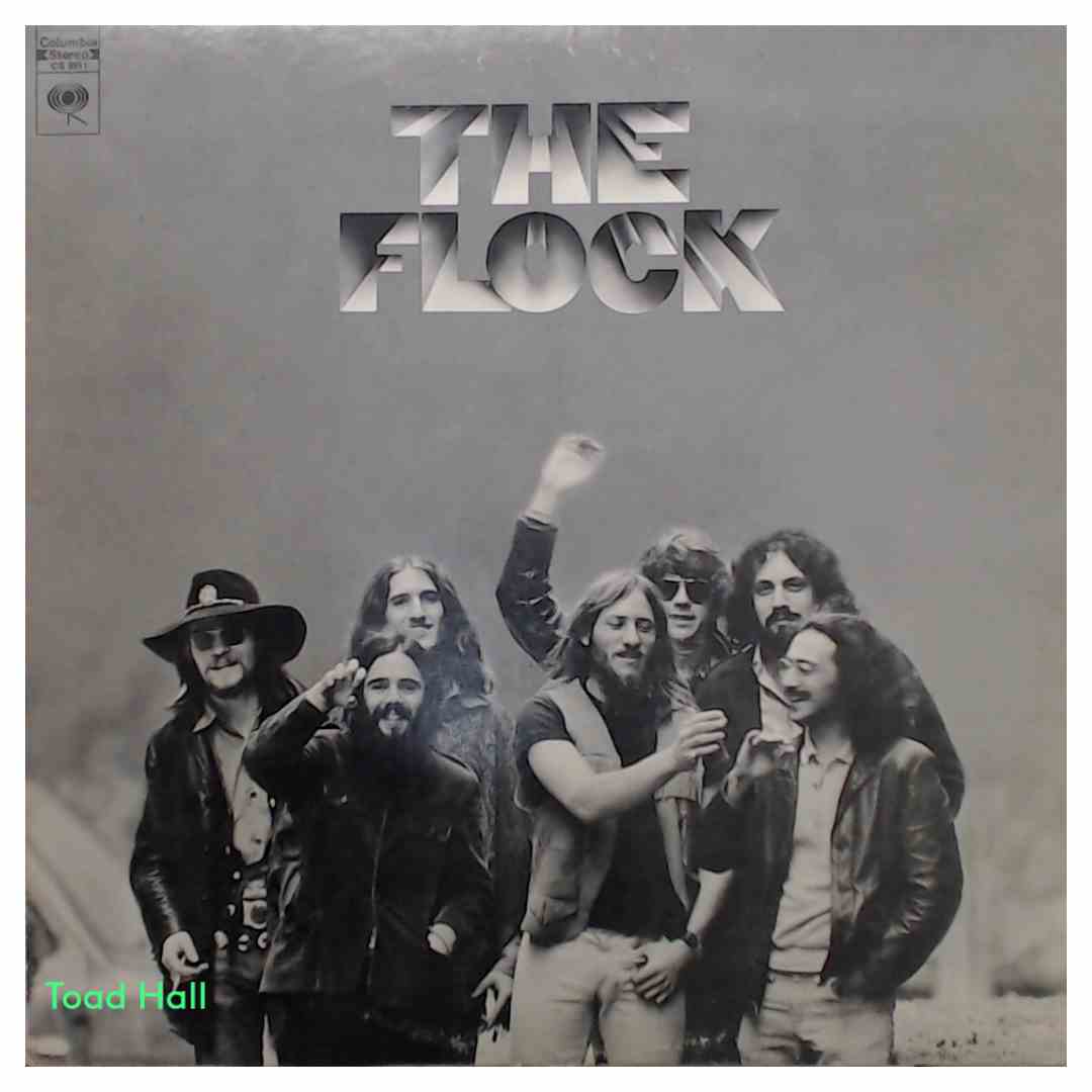 The Flock - The Flock - Used Vinyl