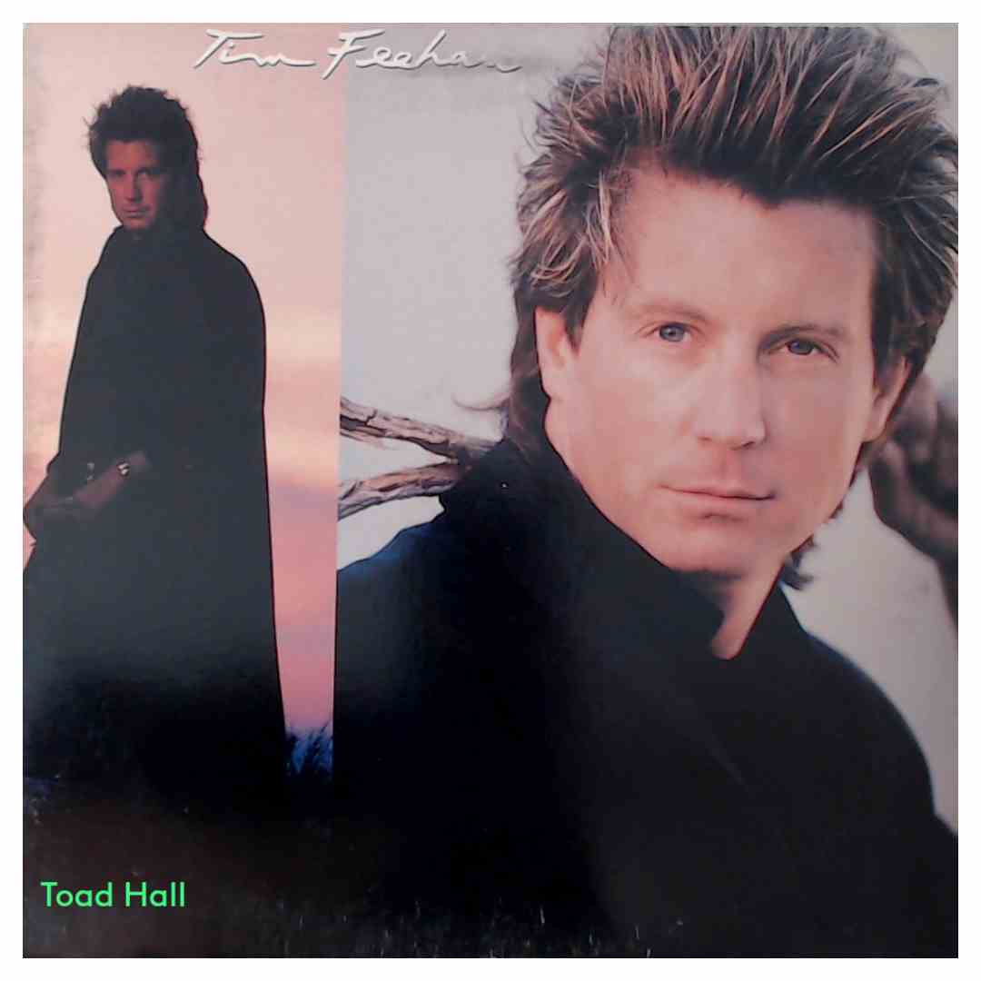 Tim Feehan - Tim Feehan (Promo Cover) - Used Vinyl