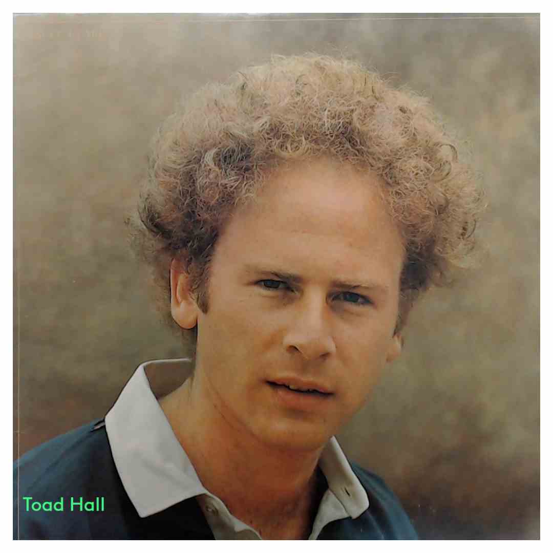 Art Garfunkel - Angel Clare - Used Vinyl