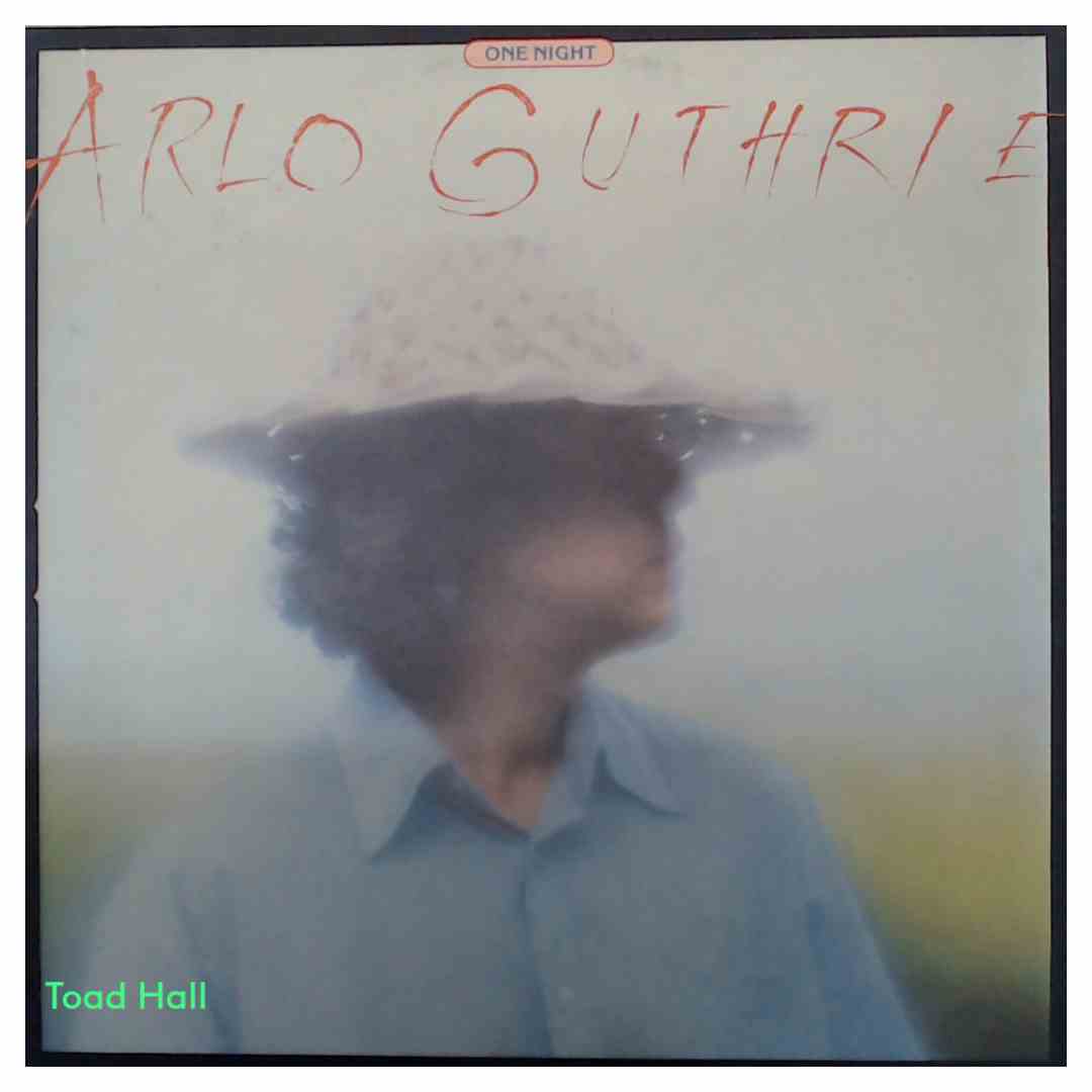 Arlo Guthrie - One Night - Used Vinyl