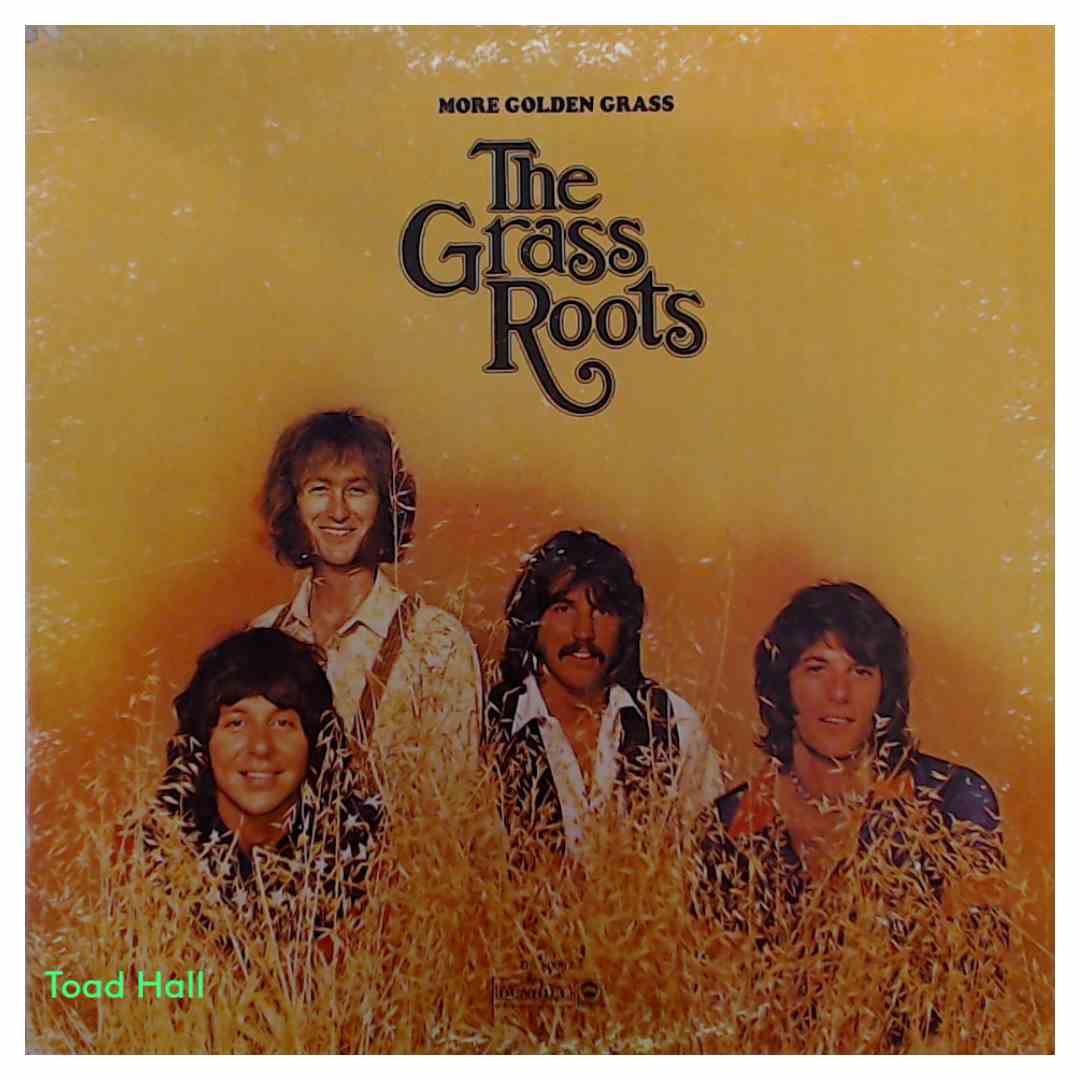 The Grass Roots - More Golden Grass - Used Vinyl