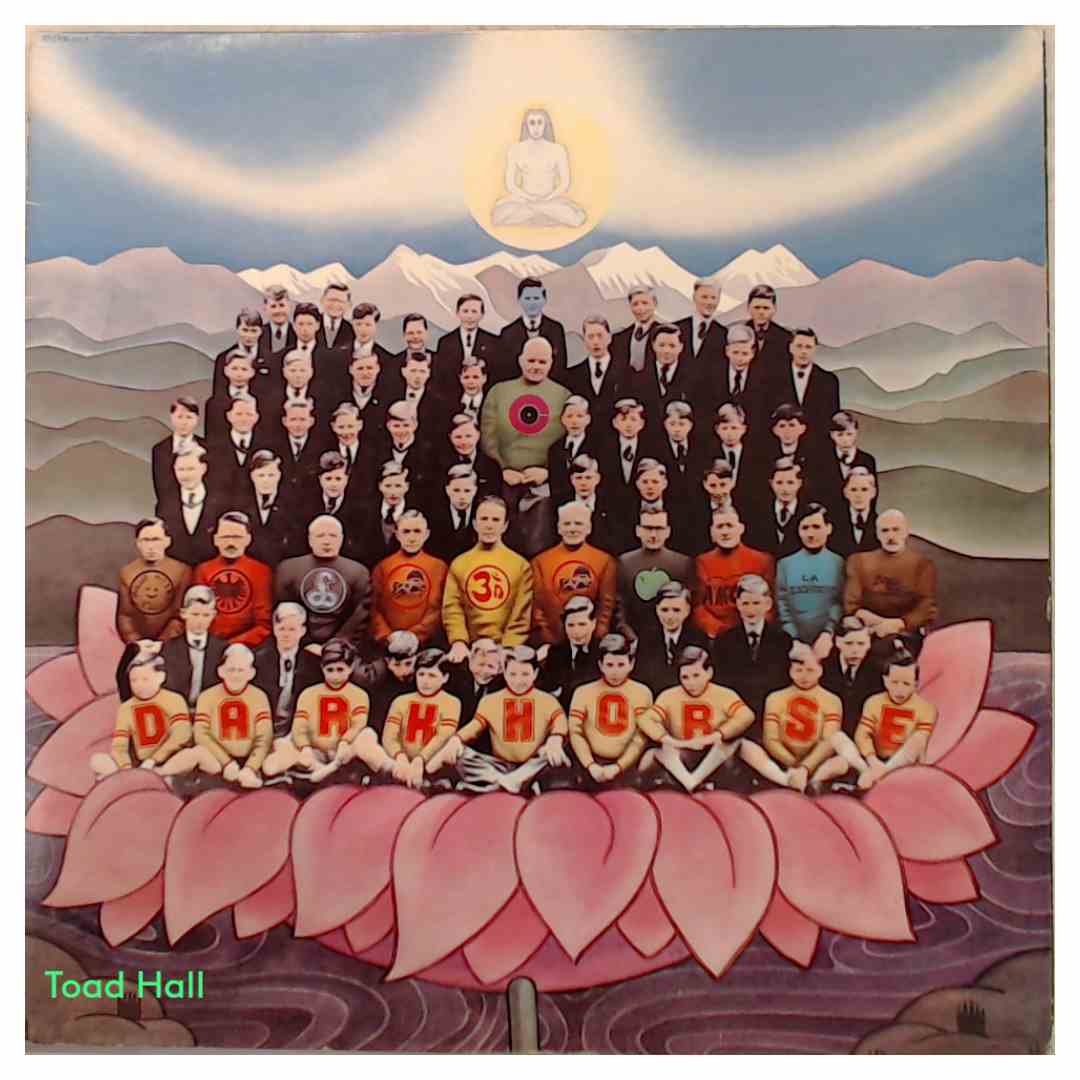 George Harrison - Dark Horse - Used Vinyl