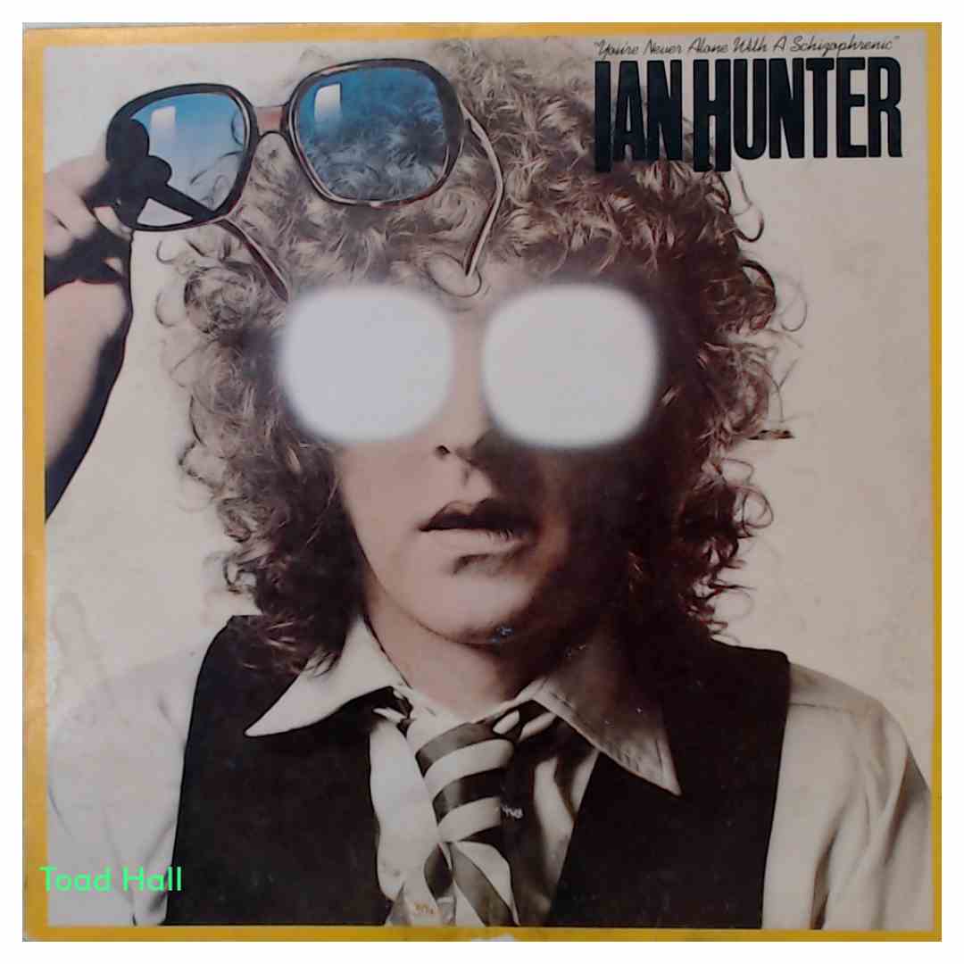 Ian Hunter - You're Never Alone With A Schizophrenic - Used Vinyl