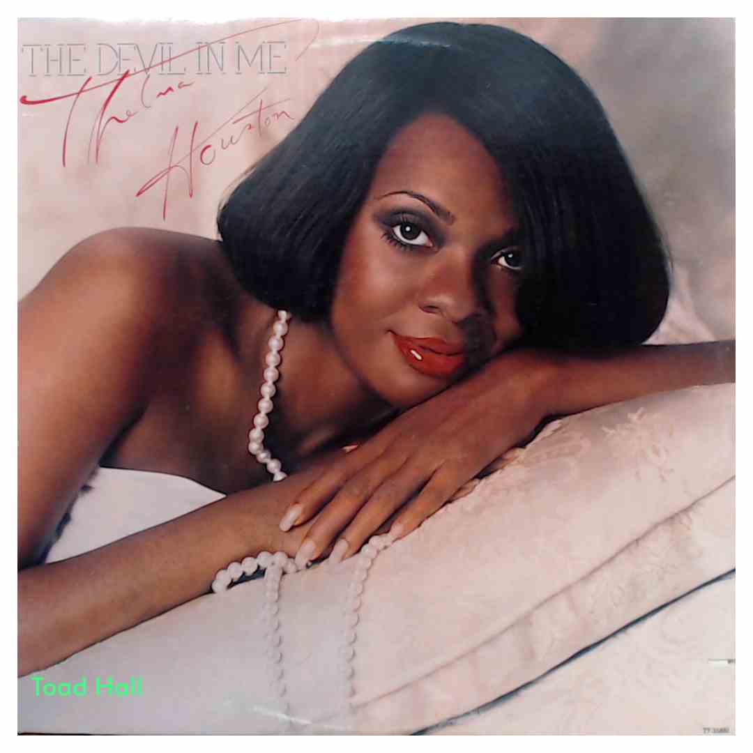 Thelma Houston - The Devil In Me - Used Vinyl