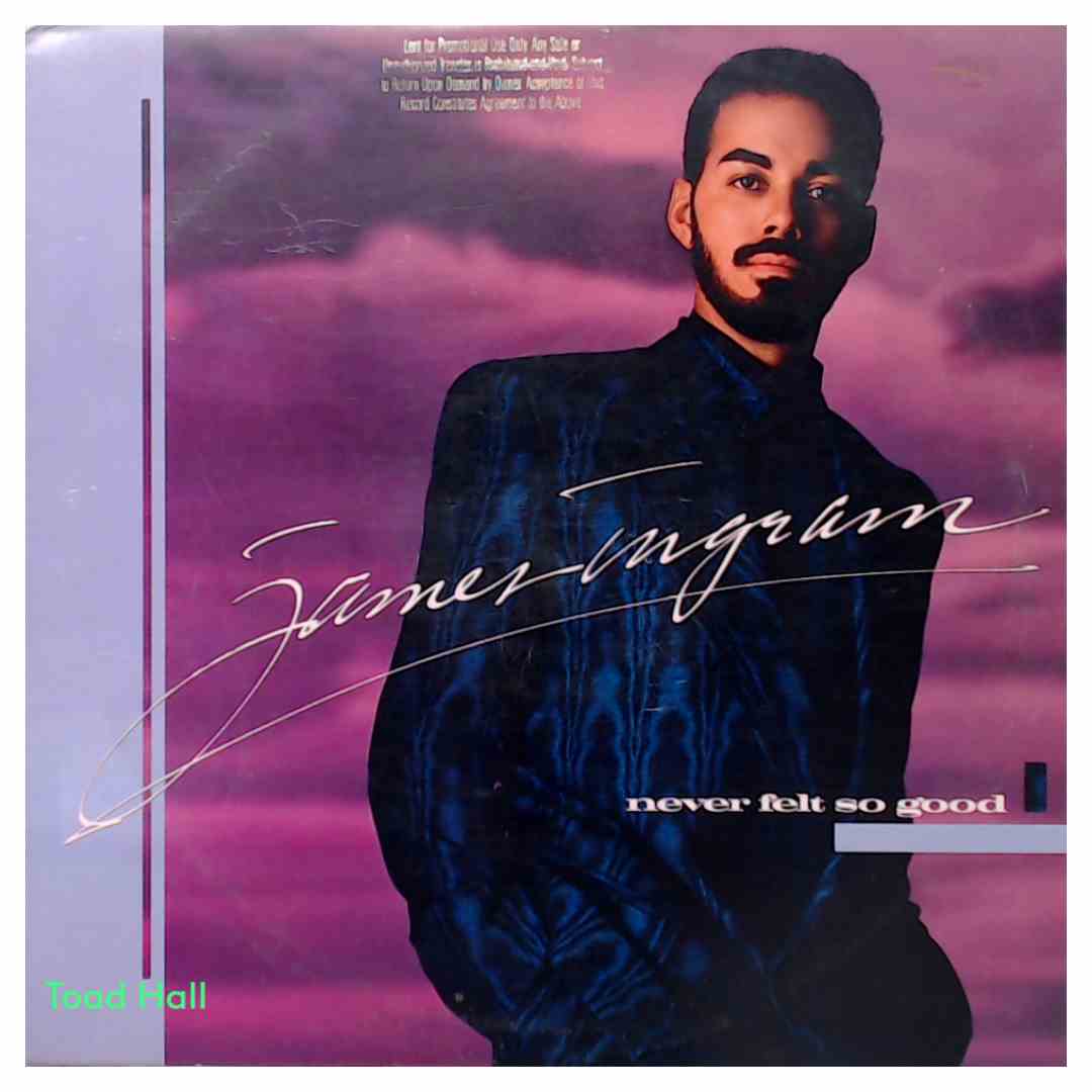 James Ingram - Never Felt So Good (Promo Cover) - Used Vinyl