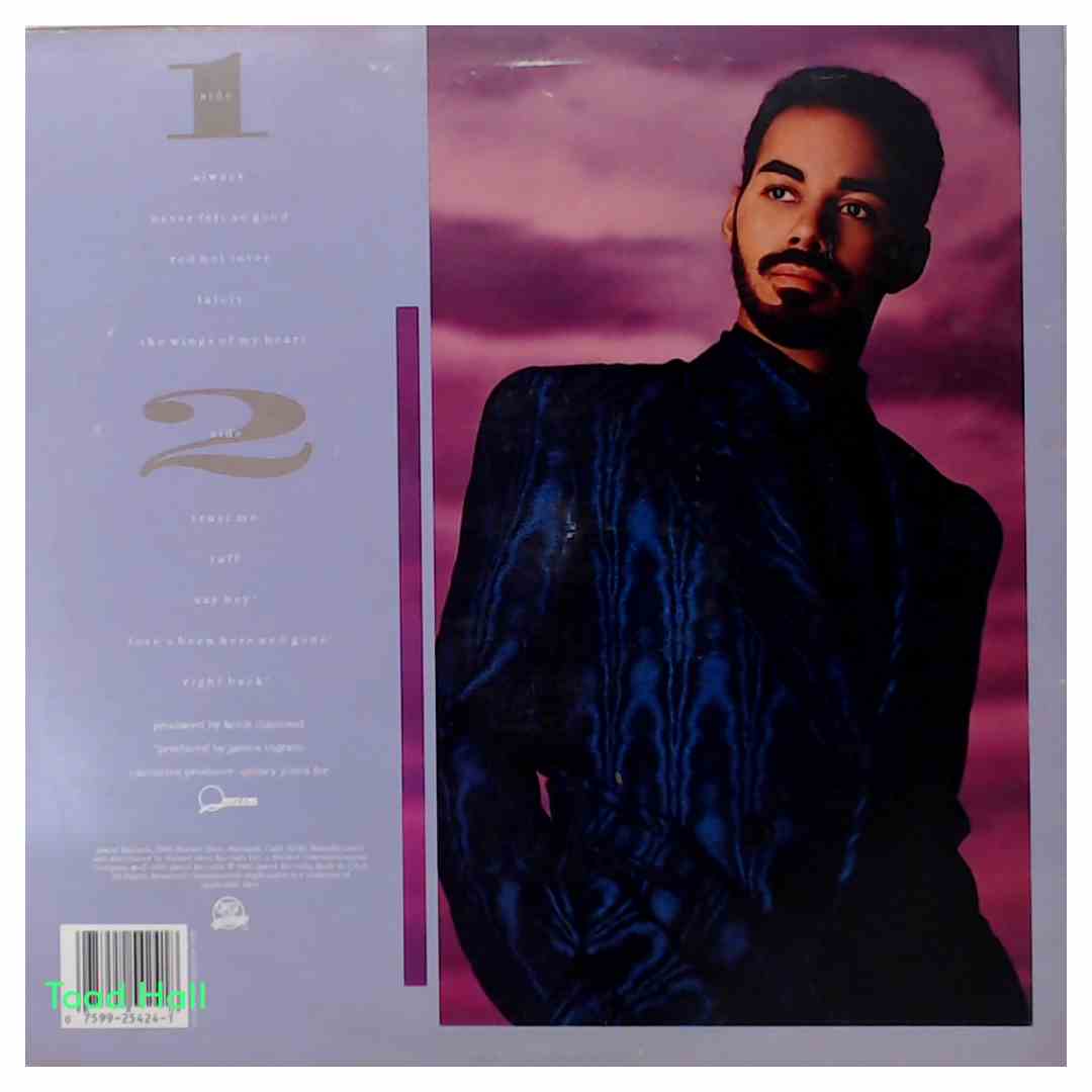 James Ingram - Never Felt So Good (Promo Cover) - Used Vinyl
