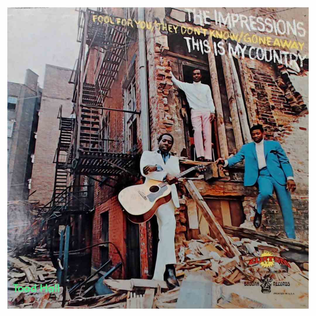 The Impressions - This Is My Country - Used Vinyl