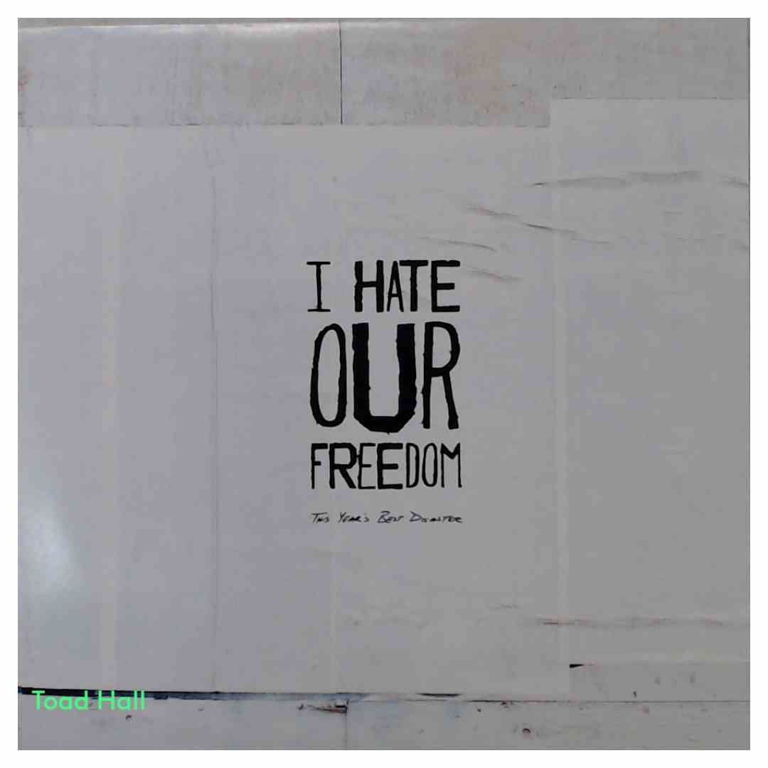 I Hate Our Freedom - This Year's Best Disaster (Blue VINYL) - Used Vinyl