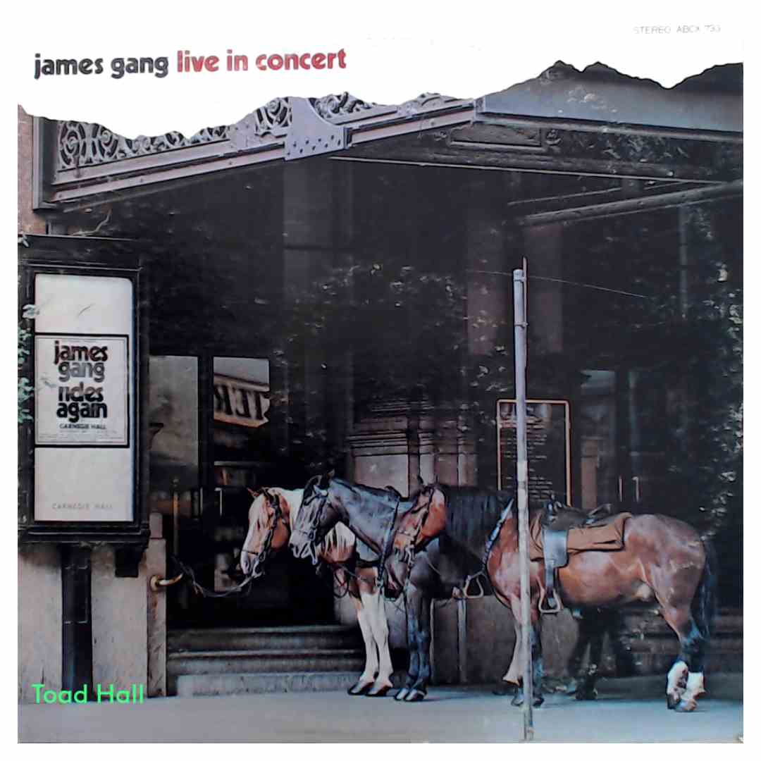 James Gang - Live In Concert - Used Vinyl