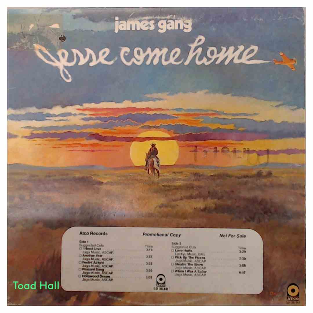 James Gang - Jesse Come Home (Promo Cover) - Used Vinyl