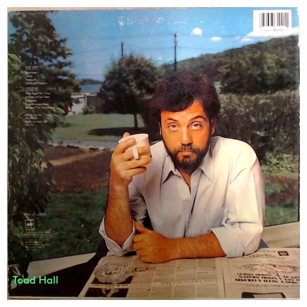 Billy Joel - The Nylon Curtain - Used Vinyl