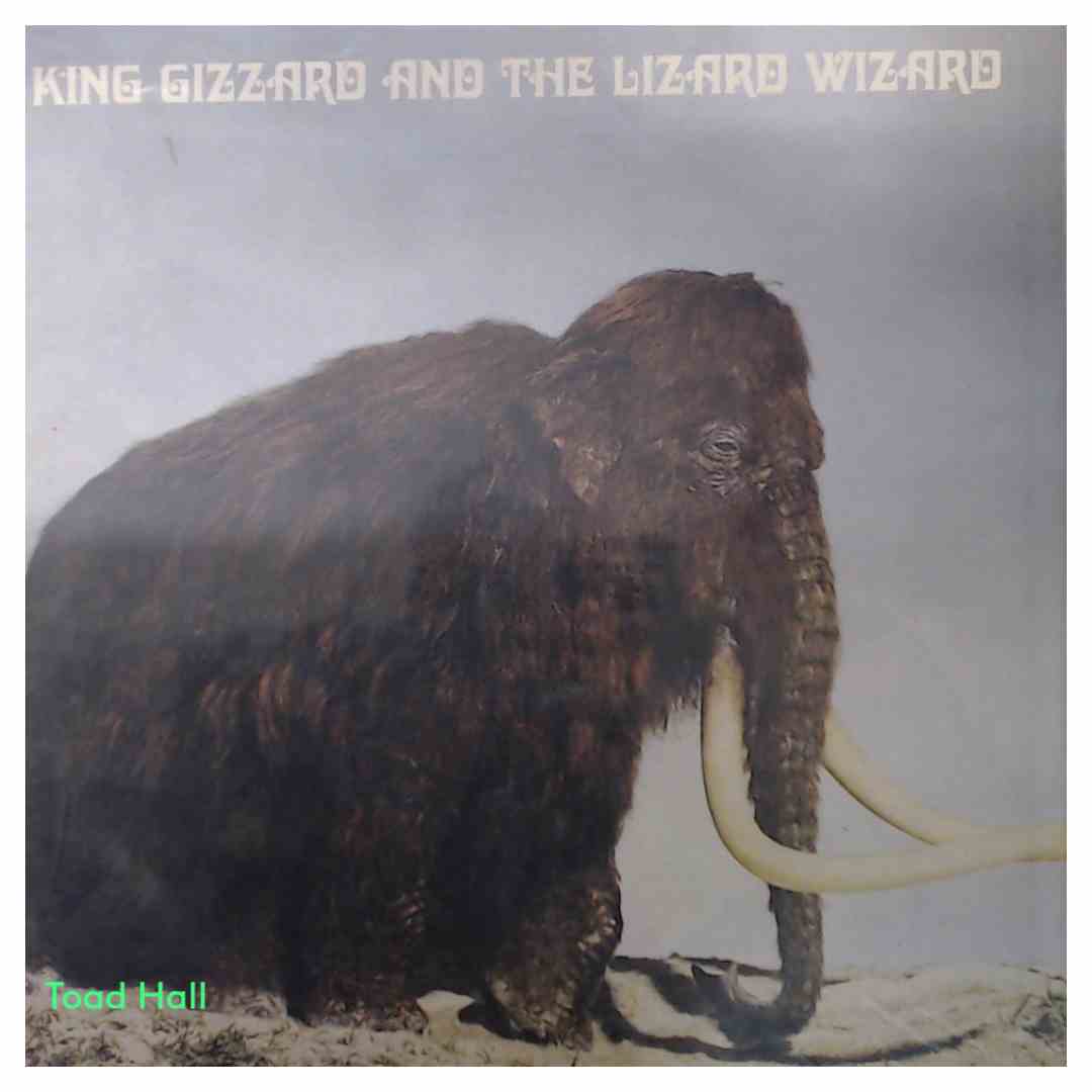 King Gizzard and the Lizard Wizard - Polygondwanaland (Blue Vinyl) - Used Vinyl