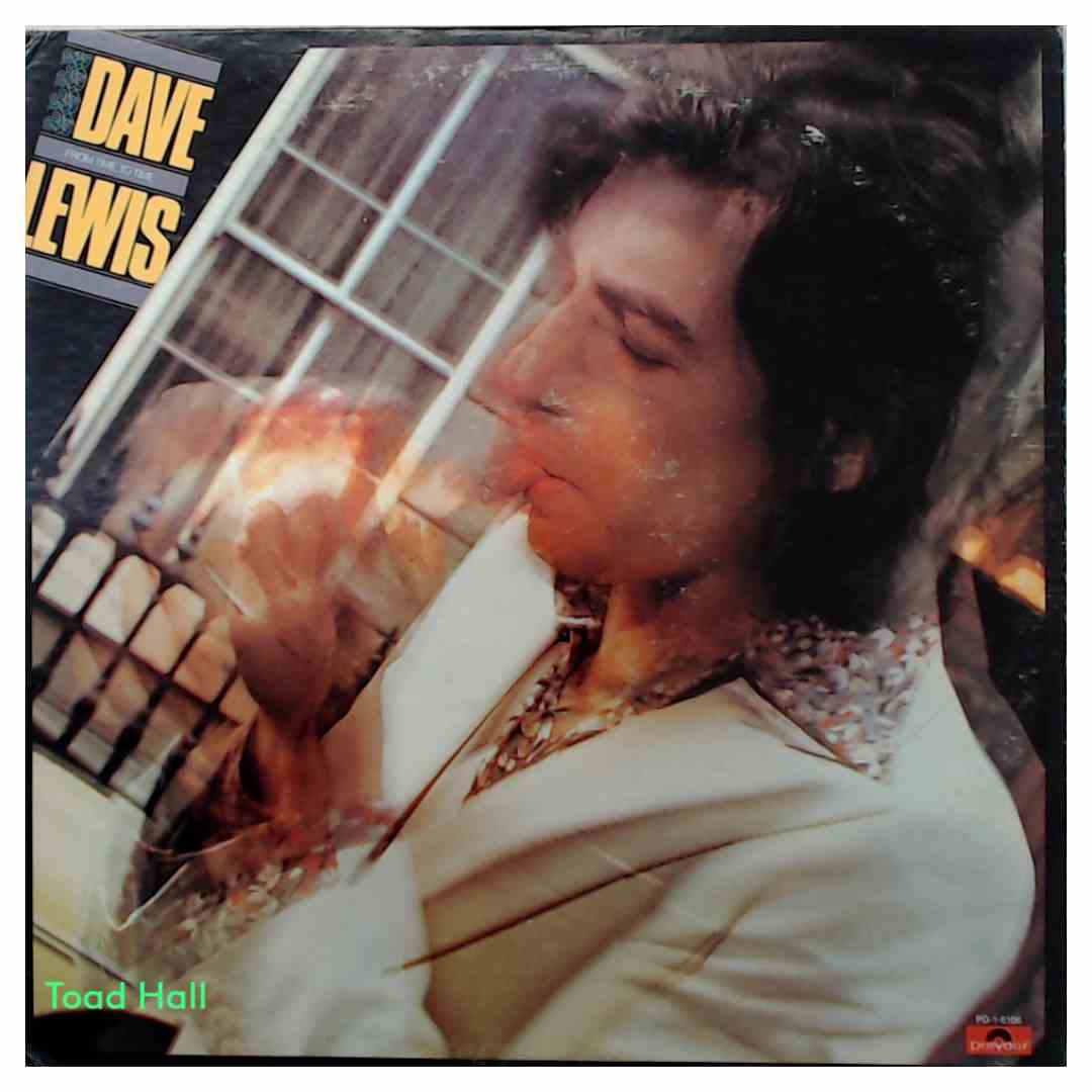 Dave Lewis - From Time To Time (Promo) - Used Vinyl