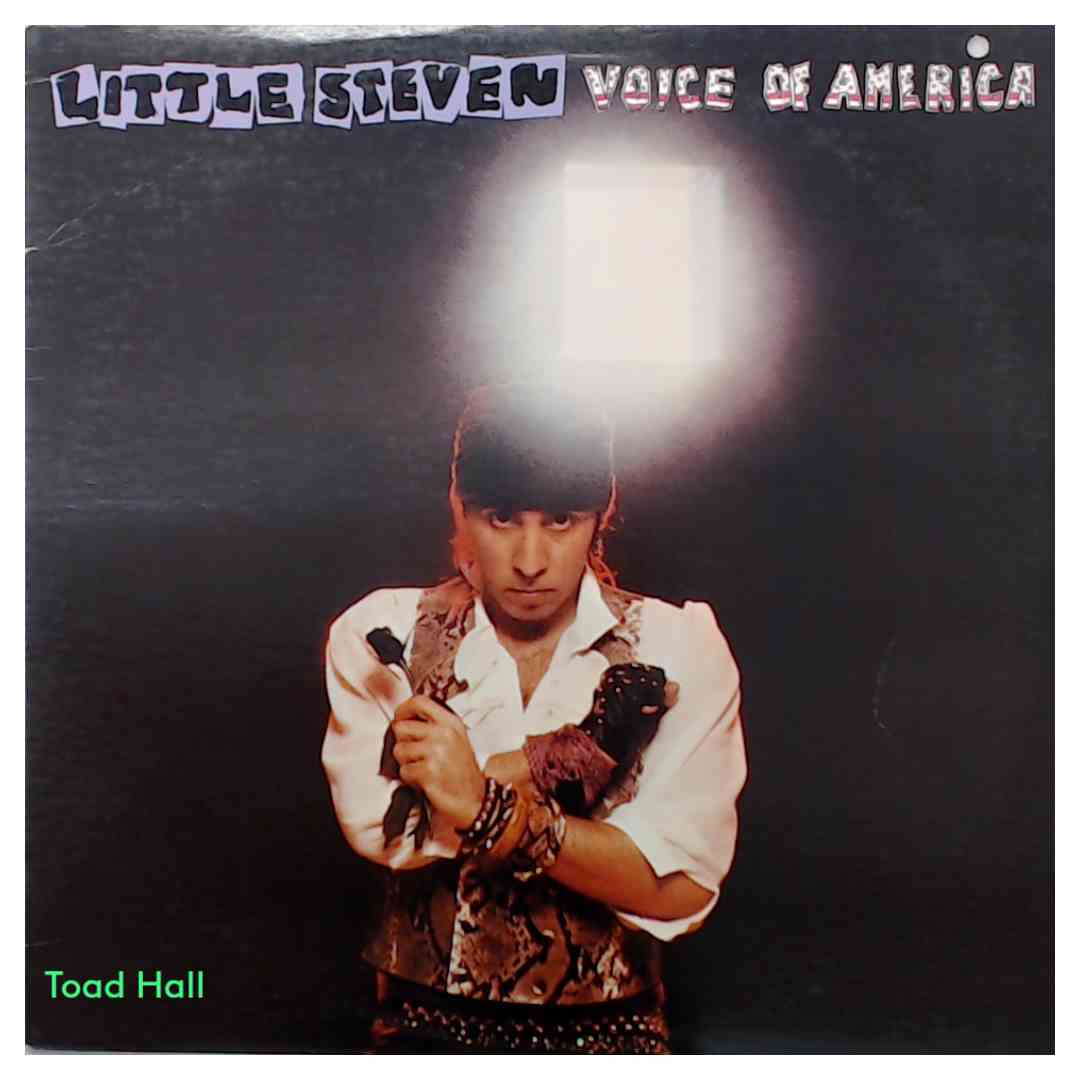 Little Steven - Voice of America - Used Vinyl