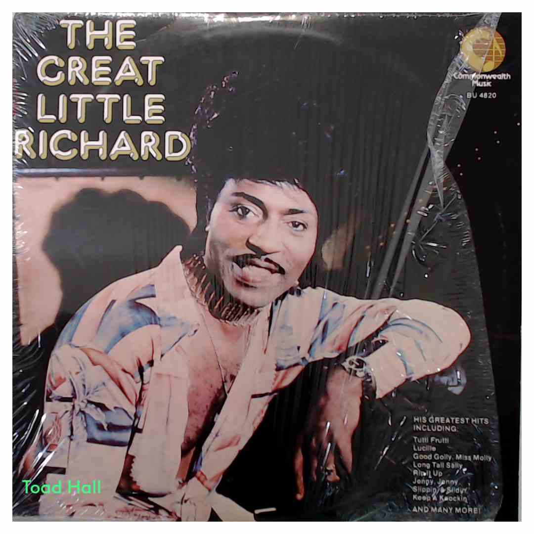 Little Richard - The Great Little Richard - Used Vinyl