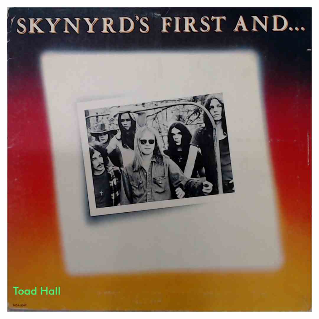 Lynyrd Skynyrd - Skynyrd's First and... Last - Used Vinyl