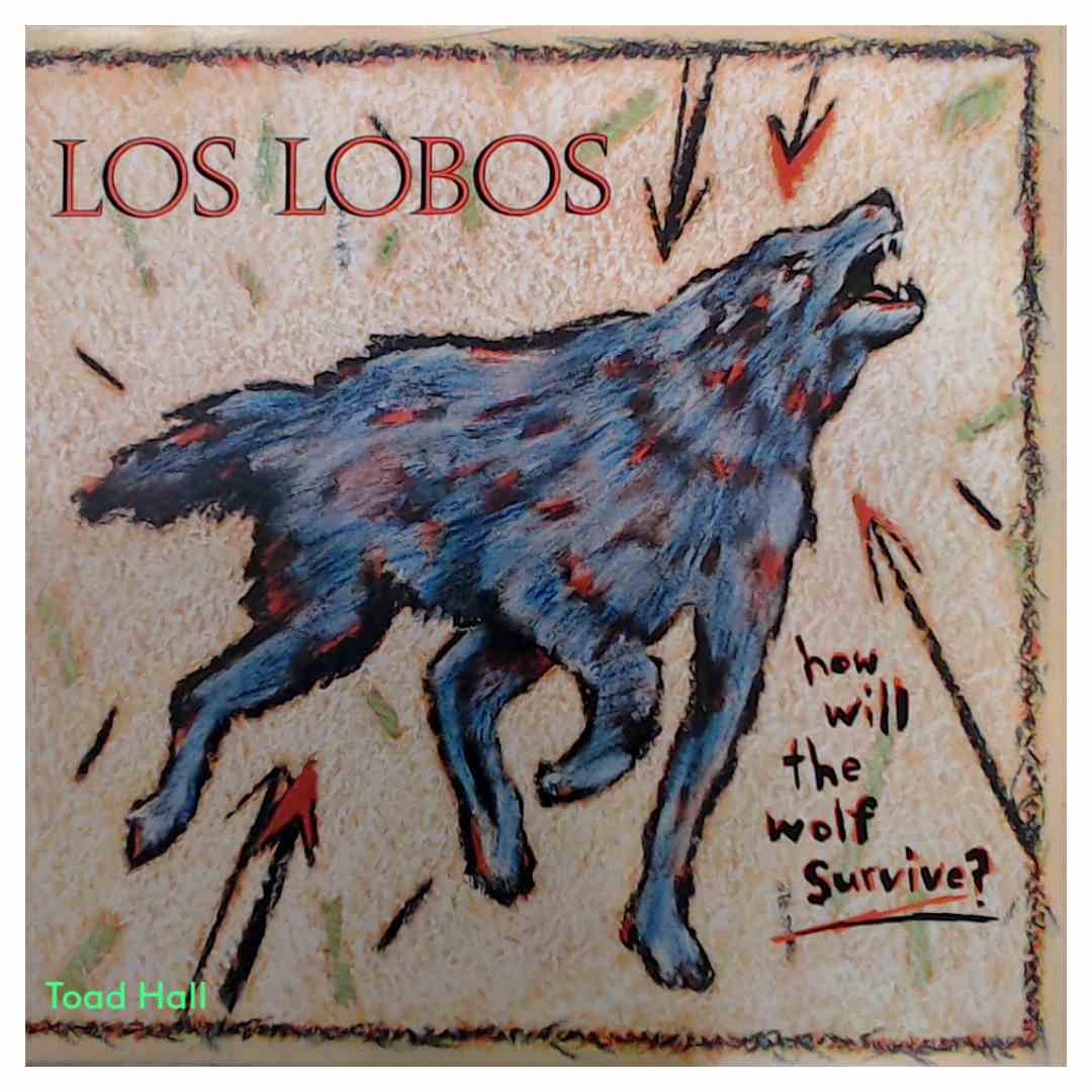 Los Lobos - How Will the Wolf Survive? - Used Vinyl
