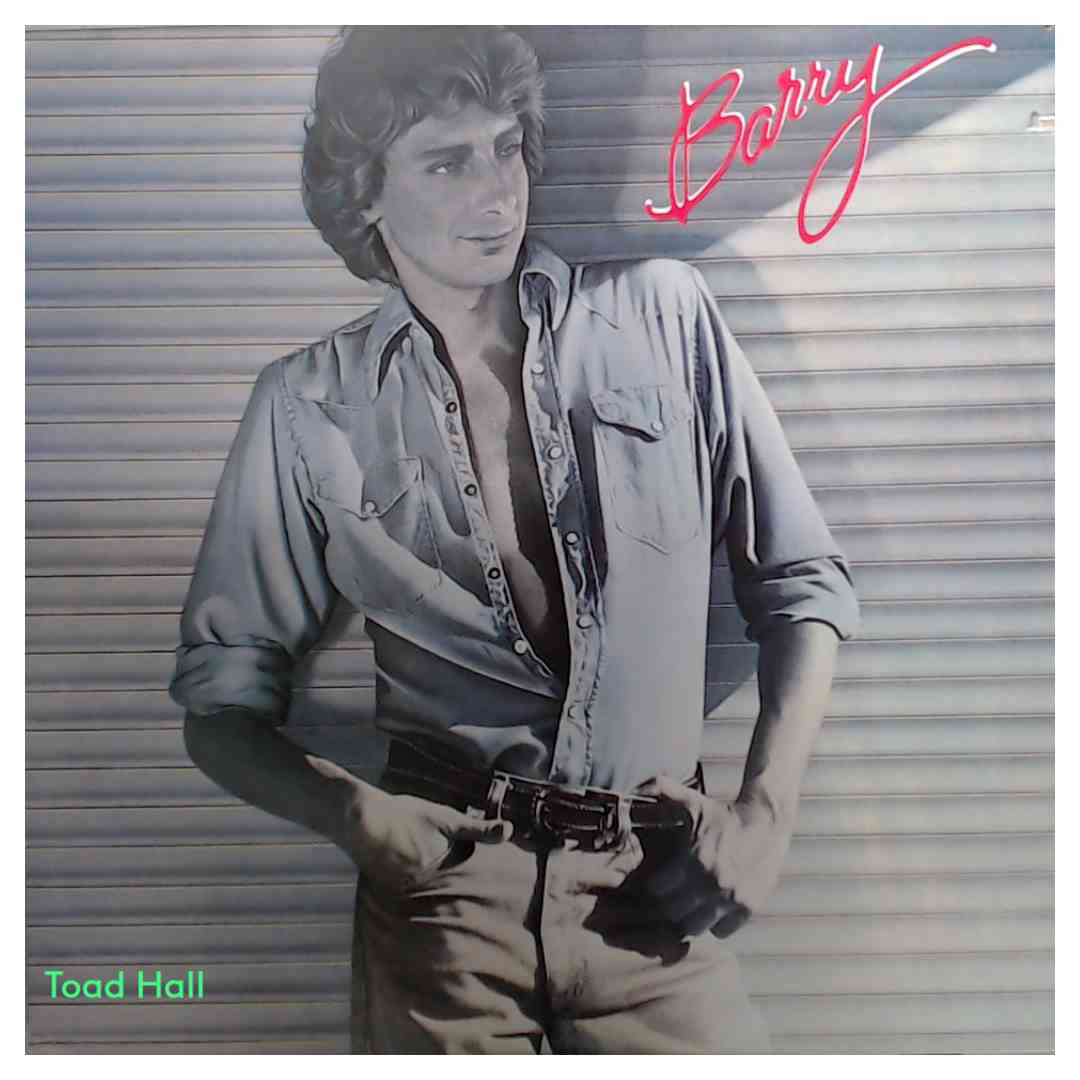 Barry Manilow - Barry - Used Vinyl