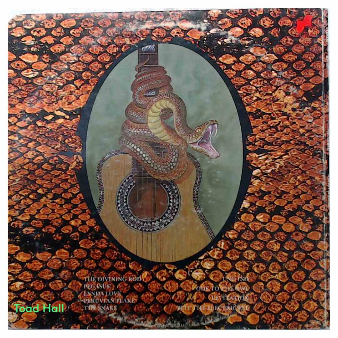 Harvey Mandel - The Snake - Used Vinyl