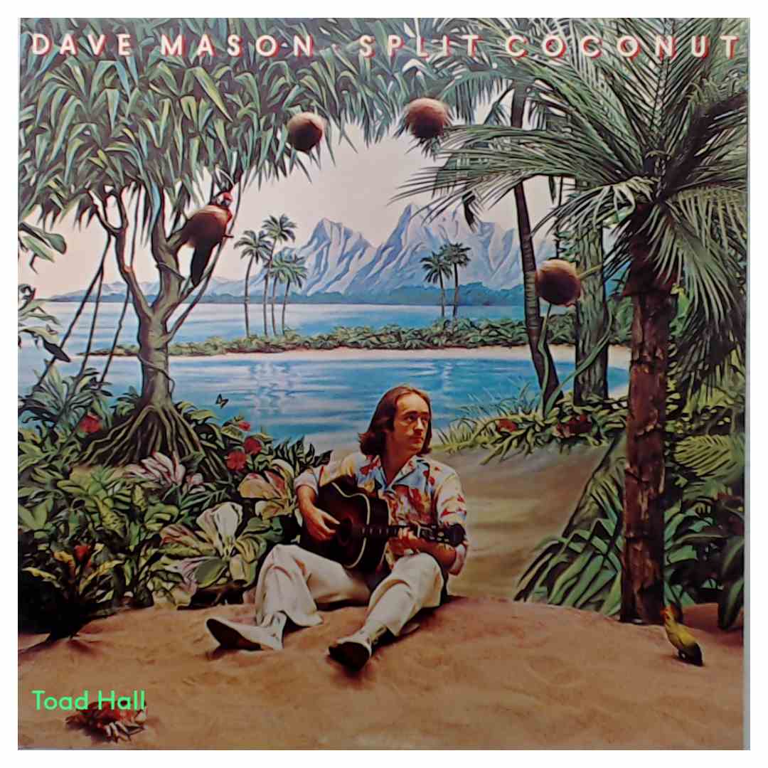 Dave Mason - Split Coconut - Used Vinyl