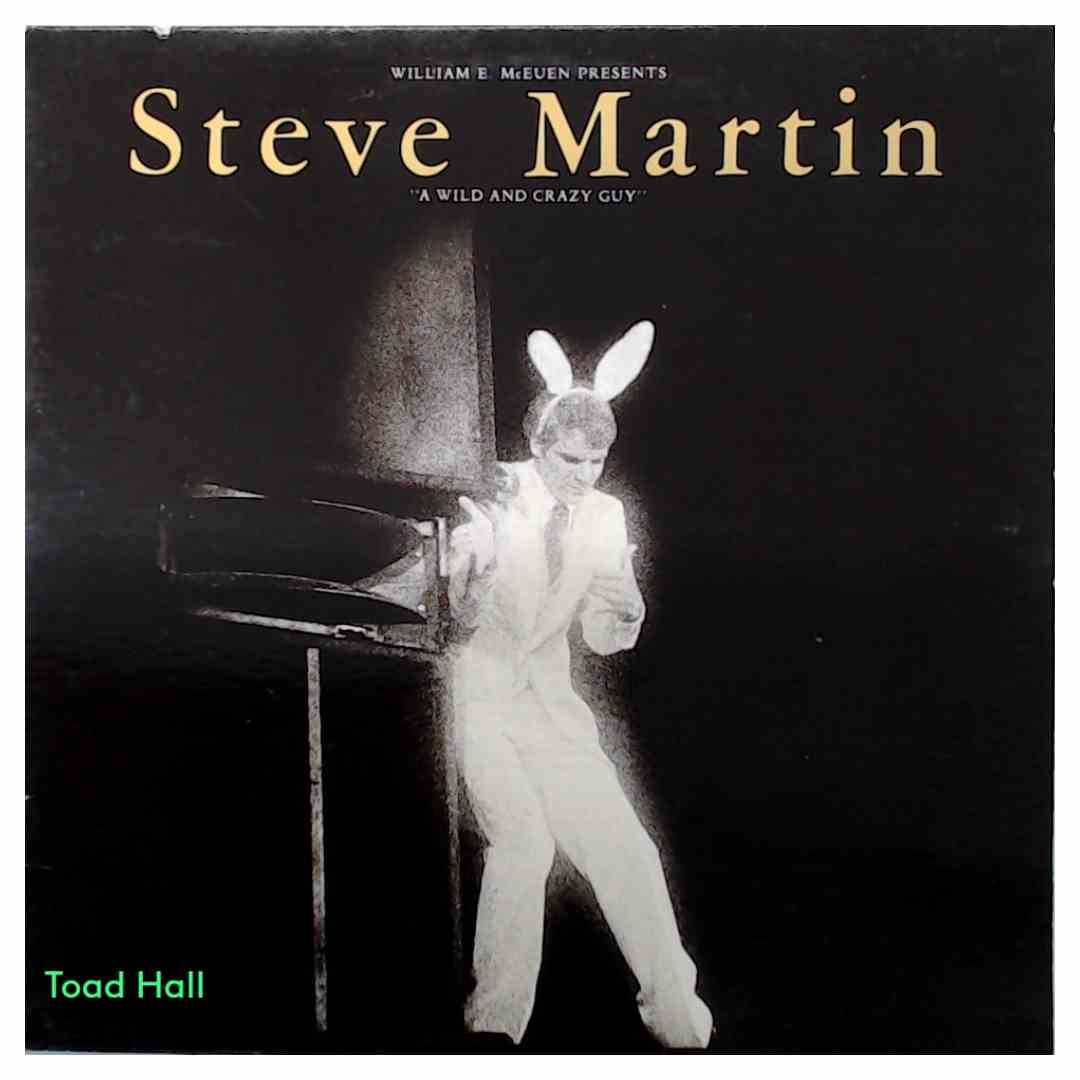 Steve Martin - A Wild And Crazy Guy - Used Vinyl