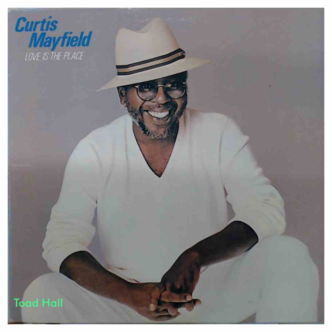 Curtis Mayfield - Love Is The Place - Used Vinyl