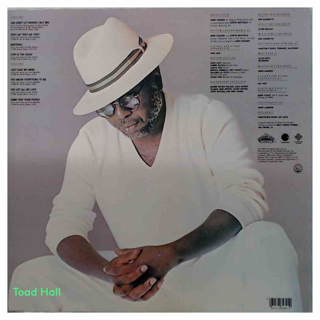 Curtis Mayfield - Love Is The Place - Used Vinyl