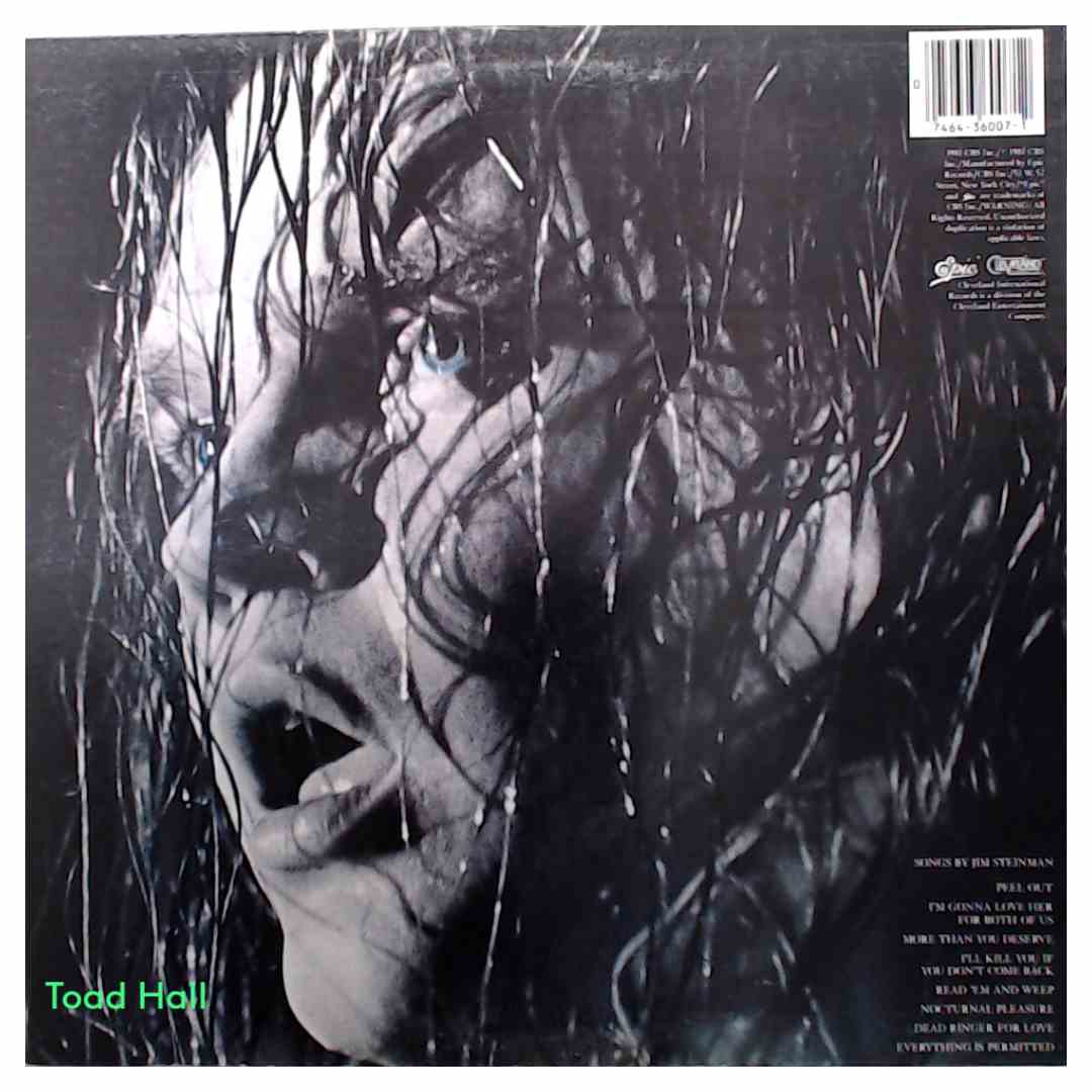 Meat Loaf - Dead Ringer - Used Vinyl