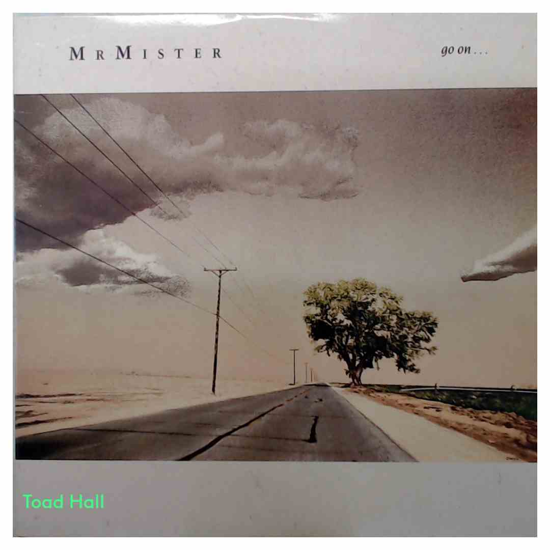 Mr. Mister - Go On... - Used Vinyl